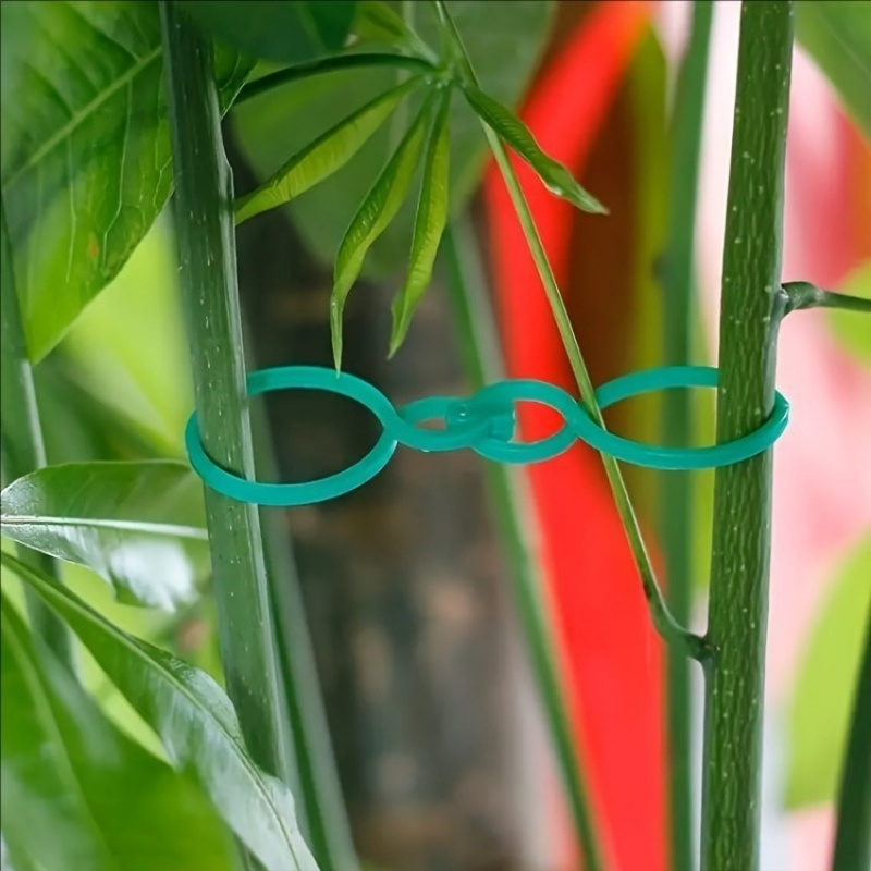 125Pcs Garden Plant Support Ki - đánh giá và giá Tie Bar Clip