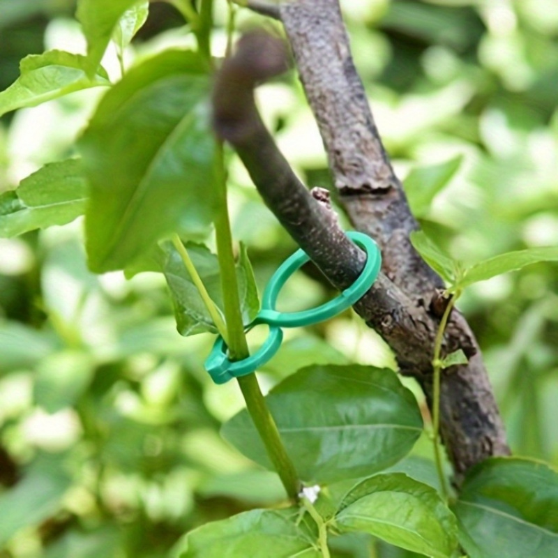 125Pcs Garden Plant Support Ki - đánh giá và giá Tie Bar Clip